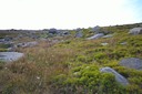 DSC_3790.JPG